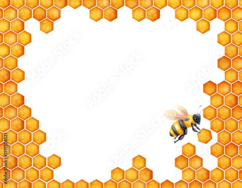Honeycomb frame drawing. World Bee day conctpt.  Watercolor element hexagonal bee honeycombs border. Concept save the bees and ecology and ecosystem.