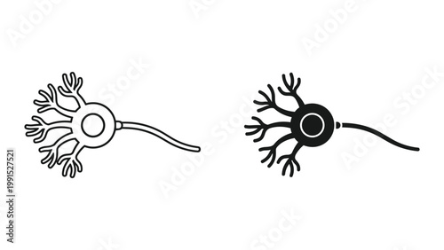 Neuron cells with dendrites and axons in black and white line art style
