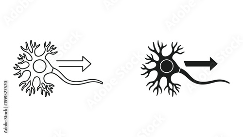 Neuron cells with dendrites and axon in black and white for biology or neuroscience concepts