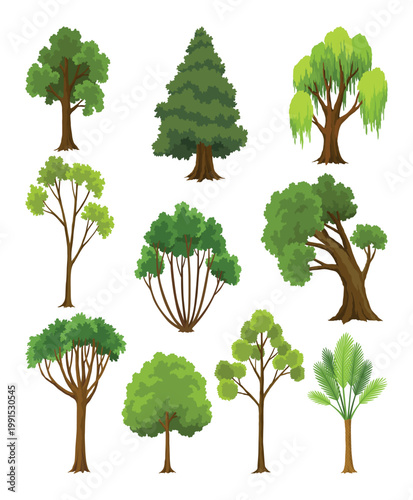 Kind of tree icon set. Various coniferous or deciduous plants. Green crowns, lush foliage and conifers with natural brown trunks and branches. Vector cartoon illustration