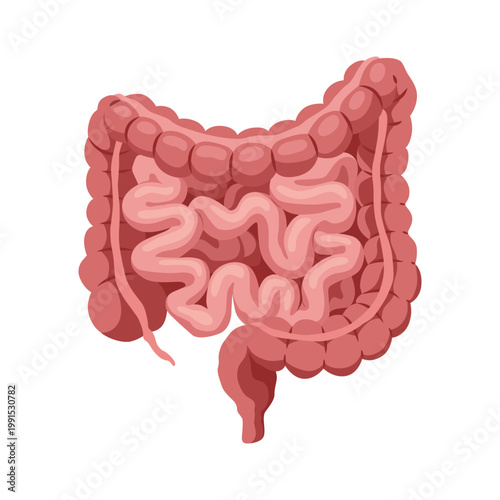 Smooth muscles tissue with specific function. Medical poster design illustration. Science educational symbol