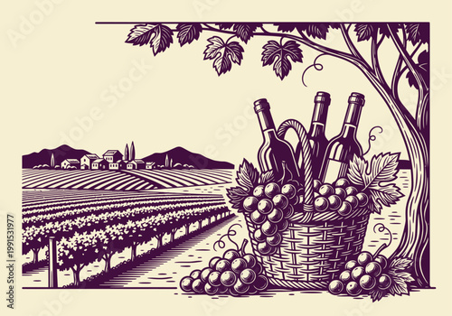 Vintage Vineyard Illustration with Wine Bottles and Grape Harvest Basket - Rustic Woodcut Style Landscape