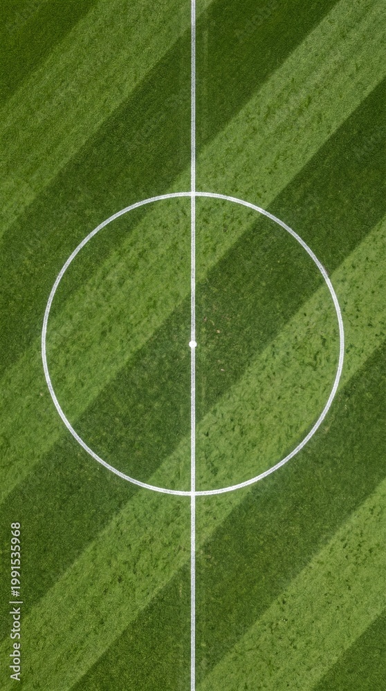 Obraz premium Soccer pitch center circle top down view