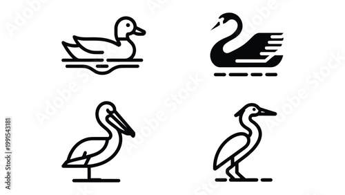 Waterfowl Icons: A set of elegant line art icons showcases four distinct waterfowl, representing a variety of avian species in a clean and modern style.