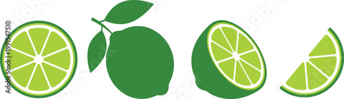 Vector lime slice green illustration lemon isolated half fruit lime. Fresh green cut citrus icon