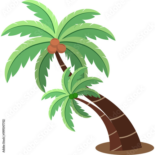 Palm Tree Illustration