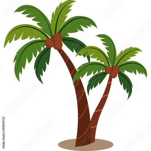 Palm Tree Illustration