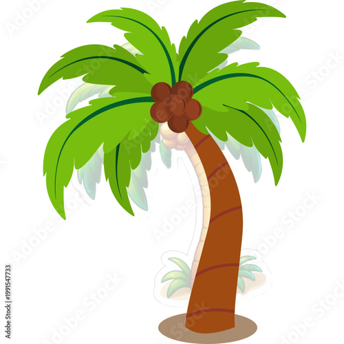 Palm Tree Illustration