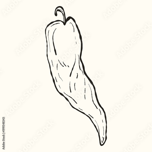 Hot Chili Pepper, Hand-Drawn Ink Illustration for Spicy Food Menu and Mexican Cuisine