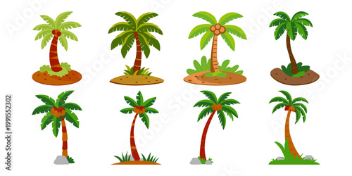 Palm Tree Illustration