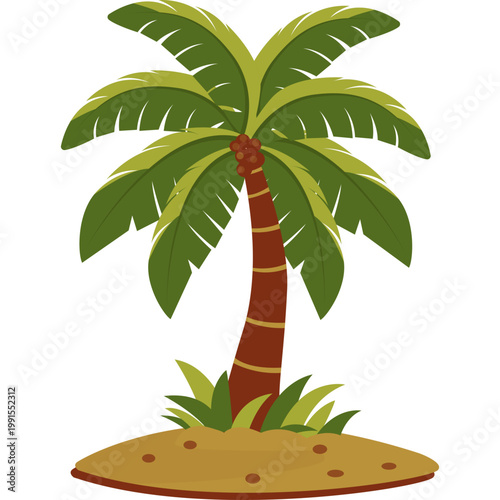 Palm Tree Illustration