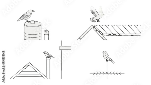 Birds perched on various urban elements: Birds find refuge and resting spots on diverse urban features, including a rooftop, water tank, and antenna.
