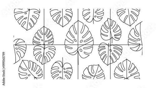 Monstera leaves in a decorative pattern.