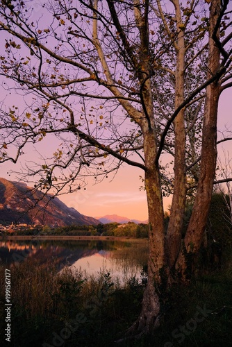 Sunset over Lake Pusiano with mountain reflection and reeds in Lombardy, Italy