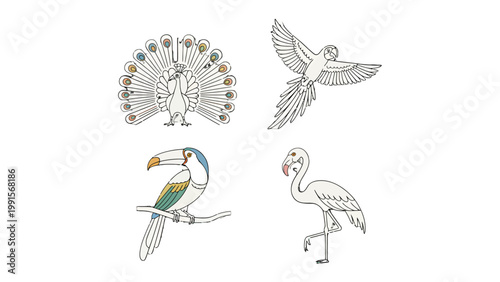 Avian Ensemble: A quartet of meticulously crafted avian illustrations showcases the beauty of different bird species. The delicate lines and intricate details create a captivating visual display.