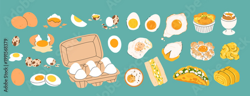 Set of different eggs. Stages of cooking scrambled eggs. Packaging with yolk and protein, shell. Natural and organic products. Cartoon flat vector collection isolated on teal background