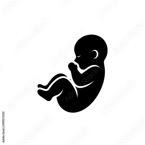 A simple black and white illustration of a human fetus in a curled position on white background