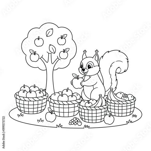 Squirrel picking apples and sorting fruits into baskets in orchard scene for kids coloring page illustration