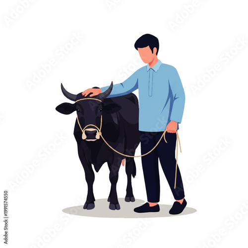 Vector flat design illustration of a farmer gently petting a black cow with a rope halter on a white background