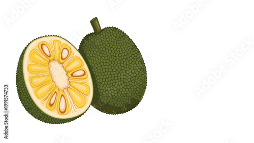 Realistic illustration of a whole jackfruit and a half cut fruit showing the internal yellow pods and seeds on a white background.