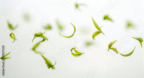 Floating Green Petals Against White Background illustration