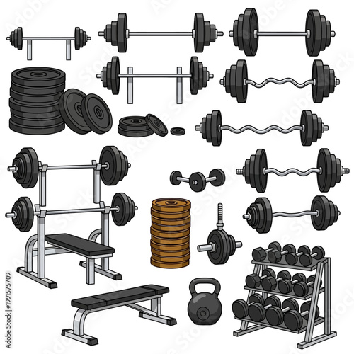 A comprehensive illustration of various gym equipment and weights on display