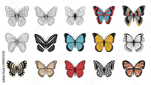 Beautiful collection of butterflies in different shapes colors and patterns shown from a top-down perspective.