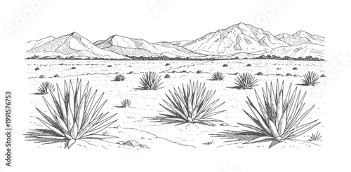 Schilderij op canvas Black and white desert landscape with agave plants and mountain range mountains