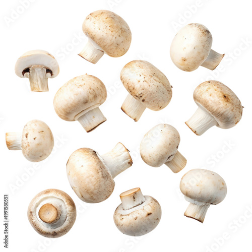 Thanksgiving Day celebration with assorted tiny mushrooms isolated on a bright white background perfect for festive recipes