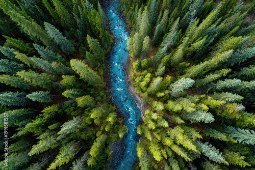 An aerial view showcases a vibrant turquoise river winding through a dense, lush forest of evergreen trees, creating a striking contrast of colors and textures.
