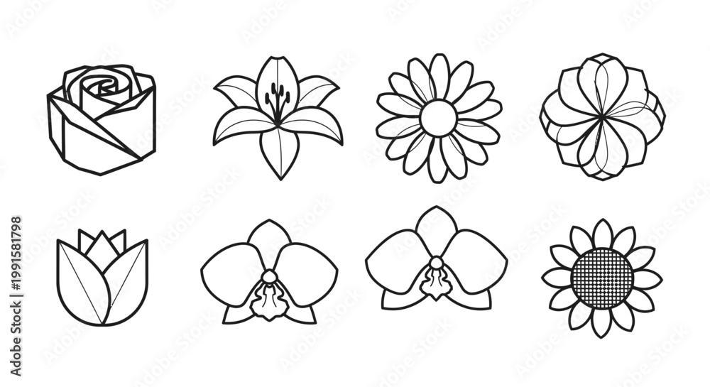 Fototapeta premium Floral outlines collection elegant vector illustrations of various bloom types