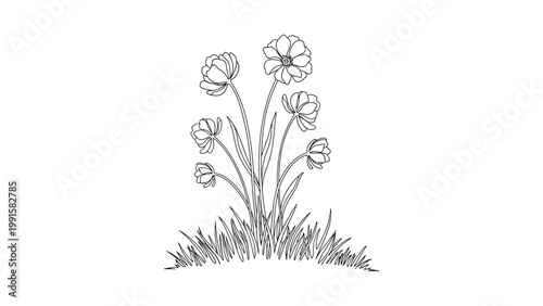 Hand drawn illustration of a small bunch of wildflowers growing in grass.. Continuous line style. Hand drawn. Line art. Vector design. illustration