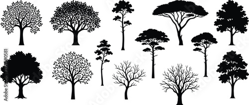 Tree silhouettes collection, deciduous conifer willow rounded canopy vector illustration, botanical nature artwork design graphic - black and white flat vector illustration