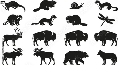Wild animal silhouette illustration collection featuring otter, beaver, snail, weasel, raccoon, dragonfly, elk, bison, moose, bear, wolf, nature vector design