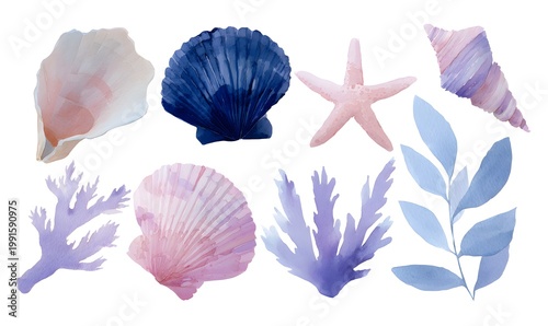 a set of hand drawn watercolour clipart illustrations of under the sea, ocean, featuring a shells, coral, seaweed and starfish.