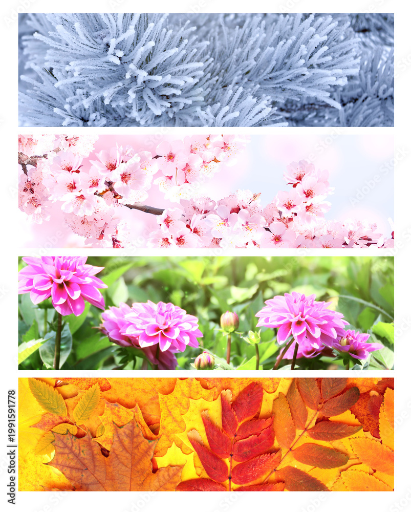 Obraz premium Four season of year. Set of horizontal nature banners. Each one features scene of nature, from the gentle snowfall of winter to the vibrant leaves of summer. Perfect for showcasing changing seasons