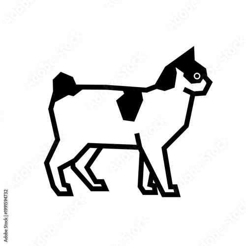 Obraz na plátně Japanese Bobtail