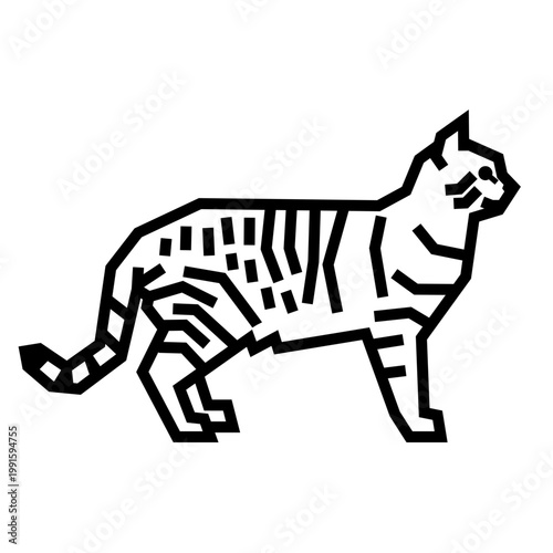 Tabby Cat