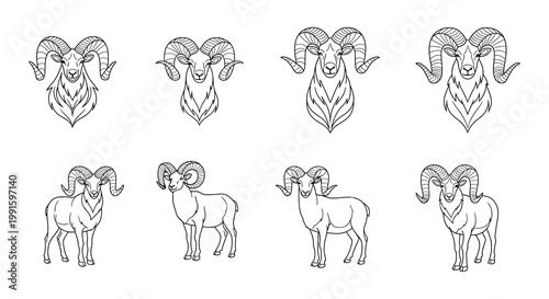 Line art illustration of multiple ram heads with curved horns