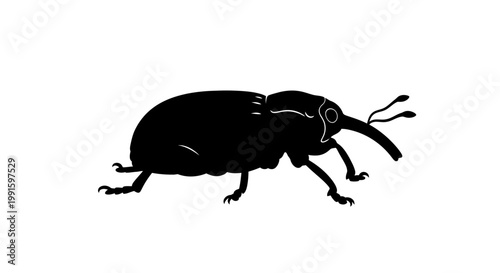 Black silhouette of a beetle insect.