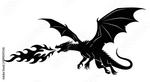 Black dragon breathing fire fiercely outside.