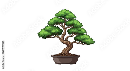Bonsai Tree in a Pot.