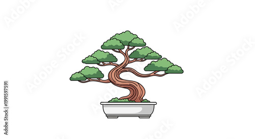 Bonsai tree in a pot.
