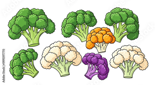 Colorful cauliflower and broccoli vegetables.