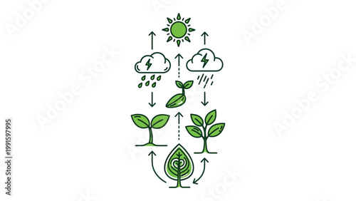 Life Cycle of Plant: A captivating illustration of the plant life cycle, showcasing the natural progression from seedling to mature tree, encompassing the elements of nature.