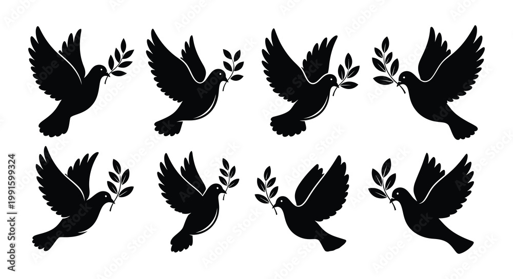 Fototapeta premium A collection of monochrome dove illustrations with olive branches