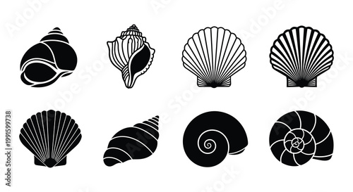 Collection of monochrome seashell silhouettes in various shapes and sizes