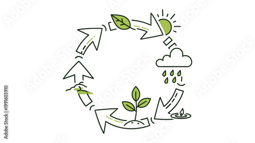 Ecological Cycle of Nature: This illustration depicts the harmonious and cyclical processes that define the eco-nature, with arrows, sun, rain, leaves and growth.