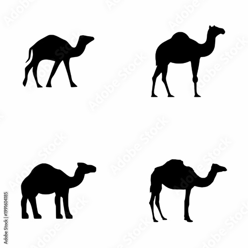 set of camels silhouettes