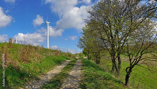 Wege in Feld und Flur am Teutoburger Wald